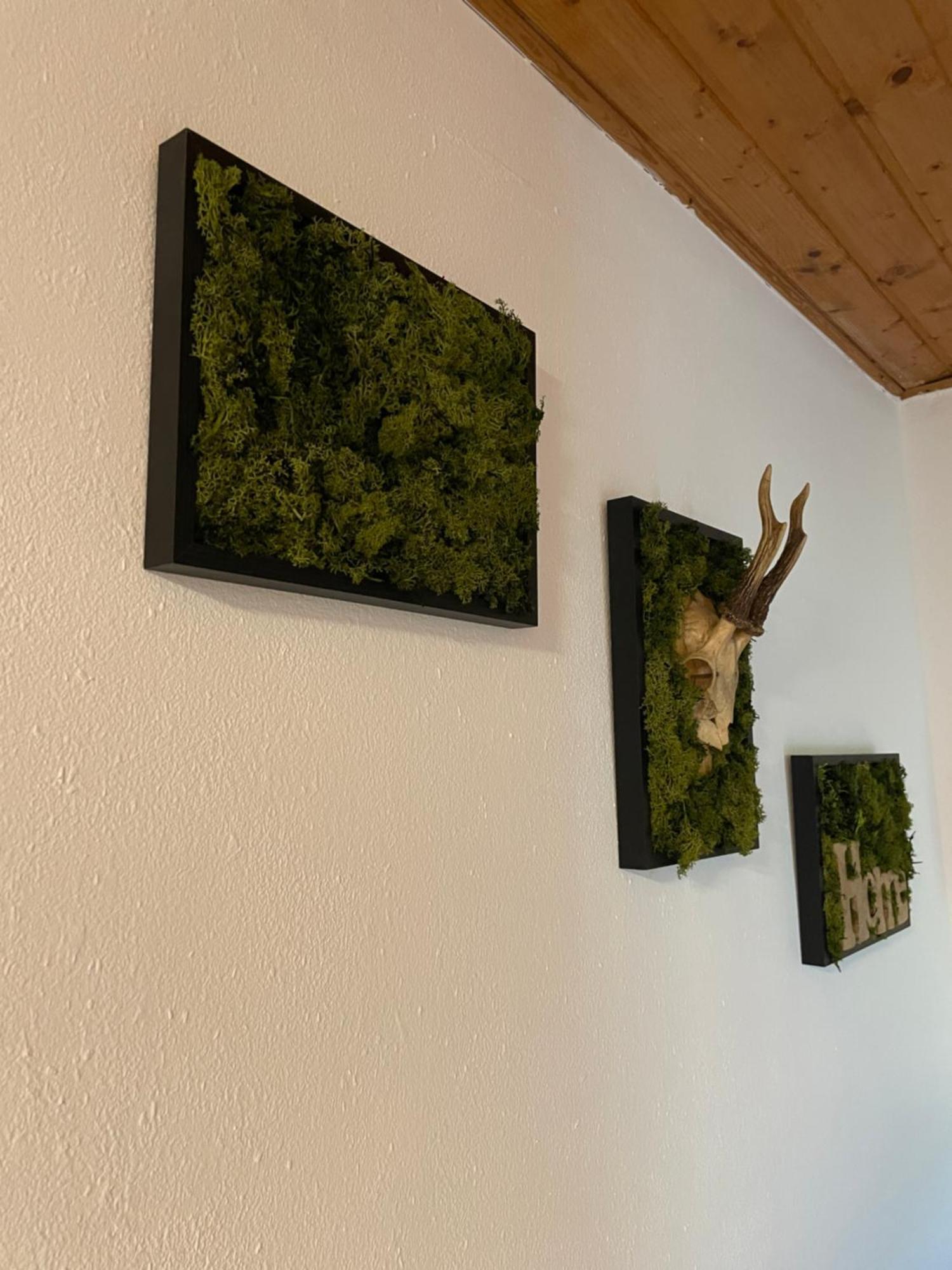 Mali Apartment *